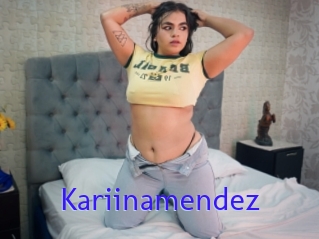 Kariinamendez