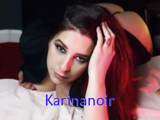 Karinanoir