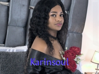 Karinsoul