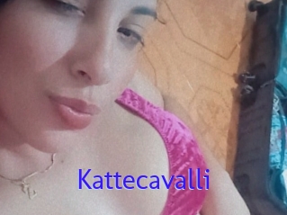 Kattecavalli