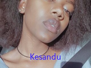 Kesandu