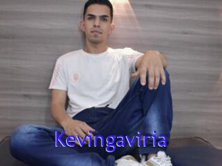 Kevingaviria