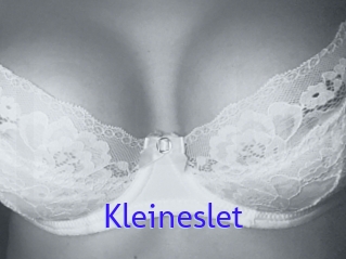 Kleineslet