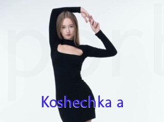 Koshechka_a