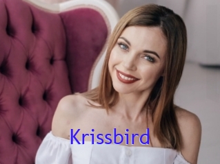 Krissbird