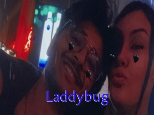 Laddybug