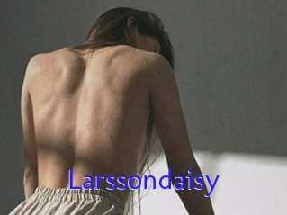 Larssondaisy