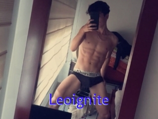 Leoignite