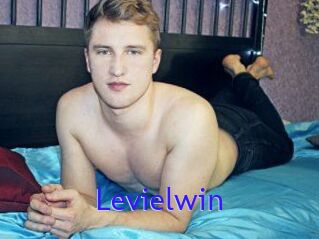 Levielwin