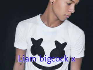 Liam_bigcock_x