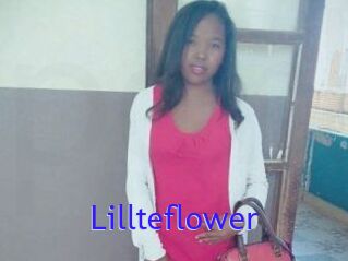 Lillteflower