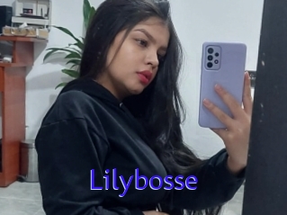 Lilybosse