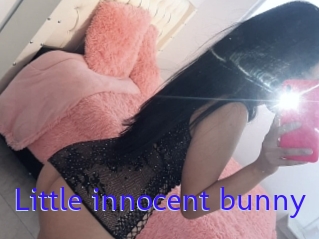 Little_innocent_bunny