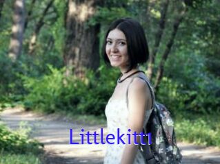 Littlekitt1