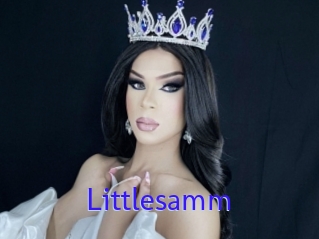 Littlesamm