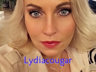 Lydiacougar