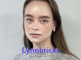 Lynnbricks