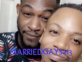 MARRIEDGAYS213