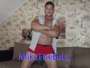 MikeTheBuLL