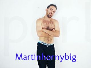 Martinhornybig