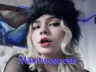 Maxinegenesis