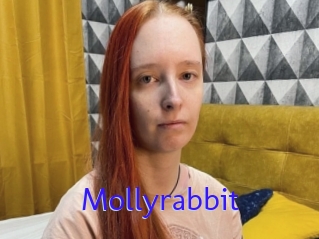 Mollyrabbit