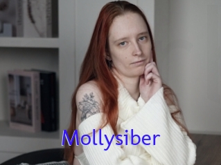 Mollysiber