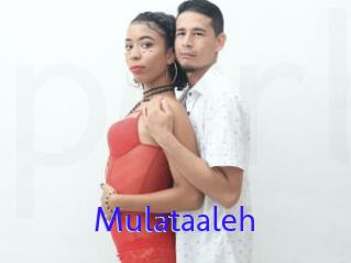 Mulataaleh