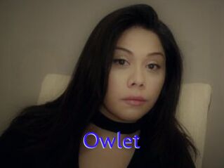 _Owlet_