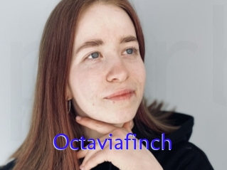 Octaviafinch