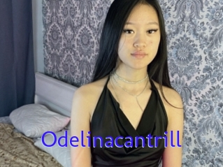 Odelinacantrill