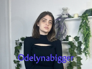 Odelynabigger