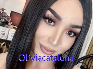 Oliviacataluna