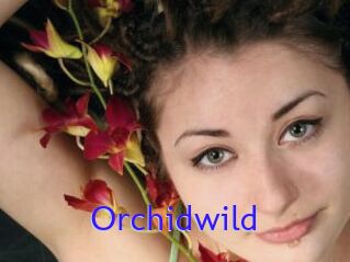 Orchidwild