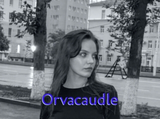 Orvacaudle