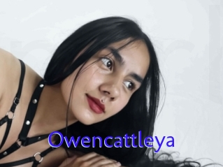 Owencattleya