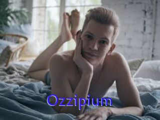 Ozzipium