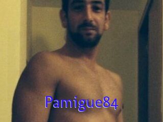 Pamigue84