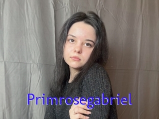 Primrosegabriel