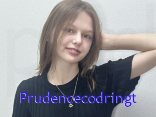 Prudencecodringt