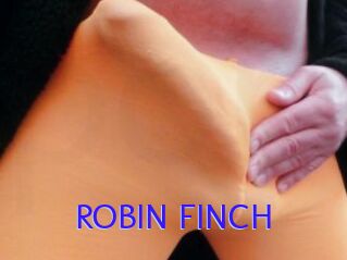 ROBIN_FINCH