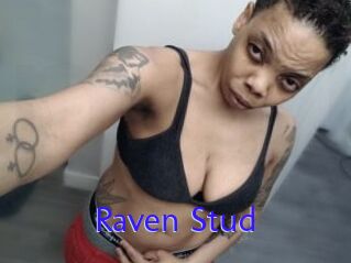 Raven_Stud