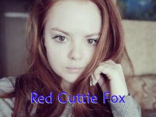 Red_Cuttie_Fox