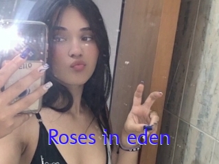 Roses_in_eden