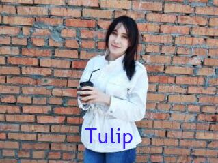 Tulip