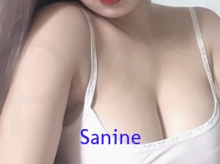 Sanine