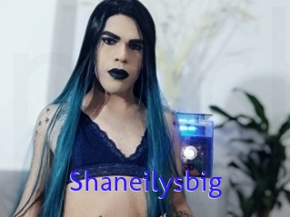 Shaneilysbig