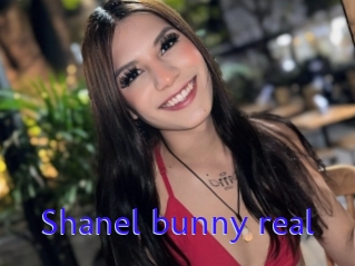 Shanel_bunny_real