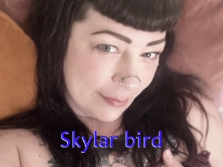 Skylar_bird