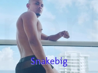 Snakebig